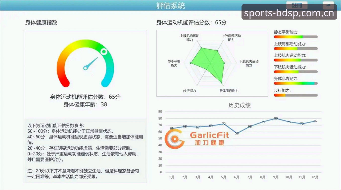 BDSPORTS安卓下载评测：一款深度解析体育数据的全能平台体验报告